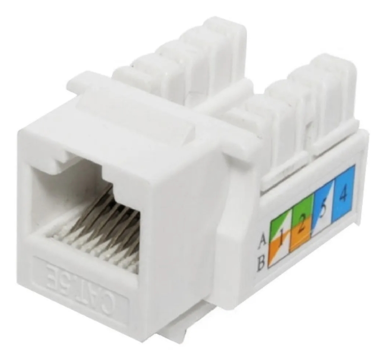 Conector plug rj45 para cable de red economico